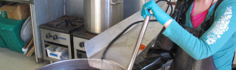 Steam Cabinet and Dye Vat Training