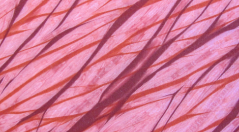 Shibori Dyeing: All Tied Up, Again