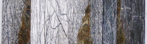 Breaking the Surface: Creating Digital Fiber Art