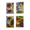 Cynthia Huff Blank Card Packs