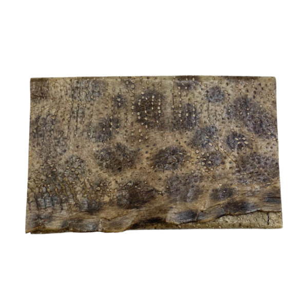 Melissa Nellis Wolffish Leather Wallet - Image 2