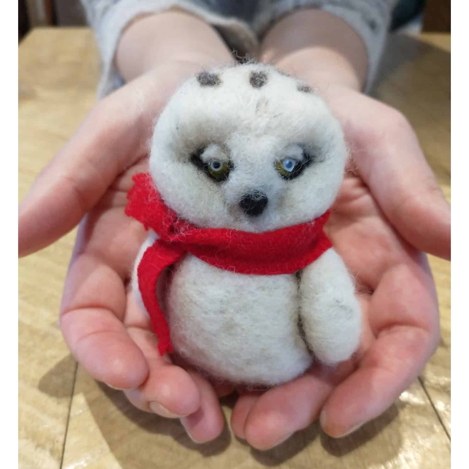 Laura Berlage Snowy Owl Needle Felting Kit