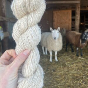 sheep and yarn