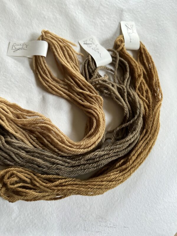Dyeing with Invasive Plants - Image 3