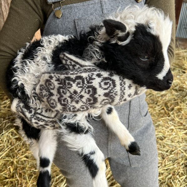 Textile Center Field Trip: Faribault Woolen Mill + Get Bentz Farm
