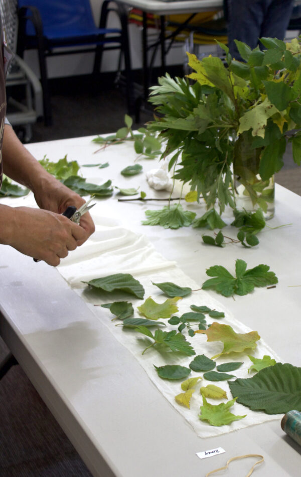 Foundations of Botanical Printing - Image 2