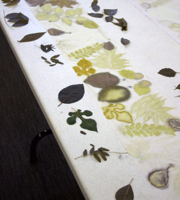 Foundations of Botanical Printing - Image 5
