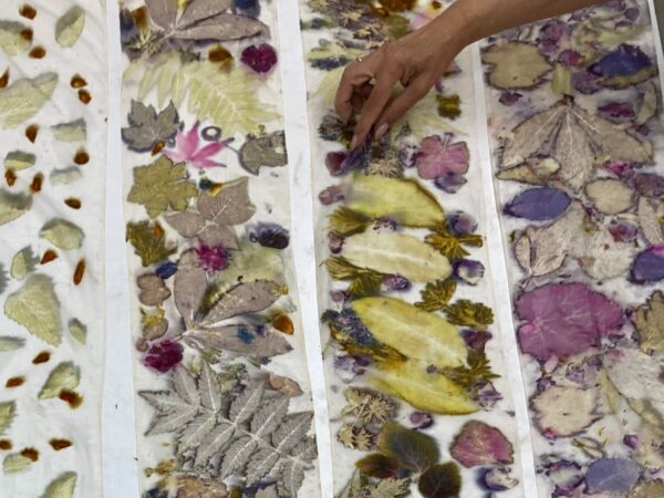 Foundations of Botanical Printing