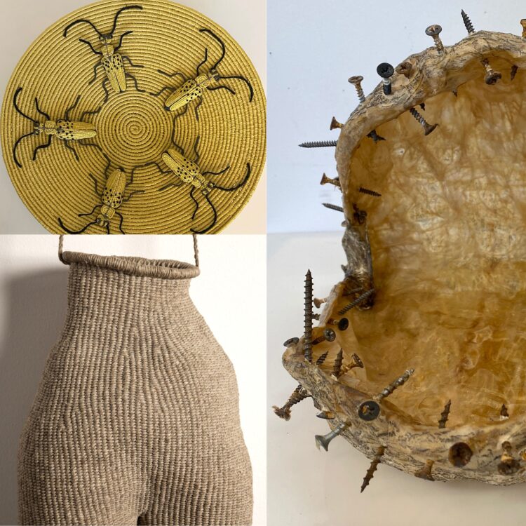 Art Speaks: The Visual Language of Basketry: September 12, 12-1 pm CT (virtual)
