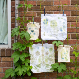 Craft Night: Dye Garden Harvest