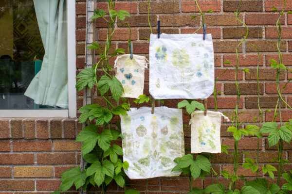 Craft Night: Dye Garden Harvest - Image 3