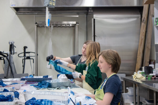MEA Day Camp: Natural Dye Explorers - Image 2