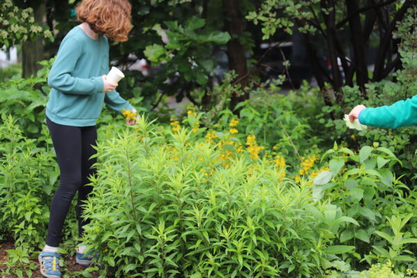 MEA Day Camp: Natural Dye Explorers - Image 4