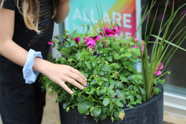MEA Day Camp: Natural Dye Explorers - Image 5