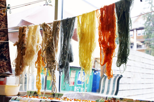 MEA Day Camp: Natural Dye Explorers - Image 7