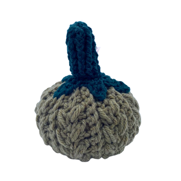 Anne Schlukebier Crochet Pumpkin - Image 2