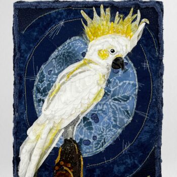 Cockatoo by Joah Bingert