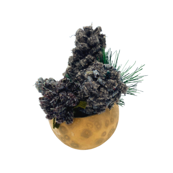 Etoile Jensen Pinecone Arrangement
