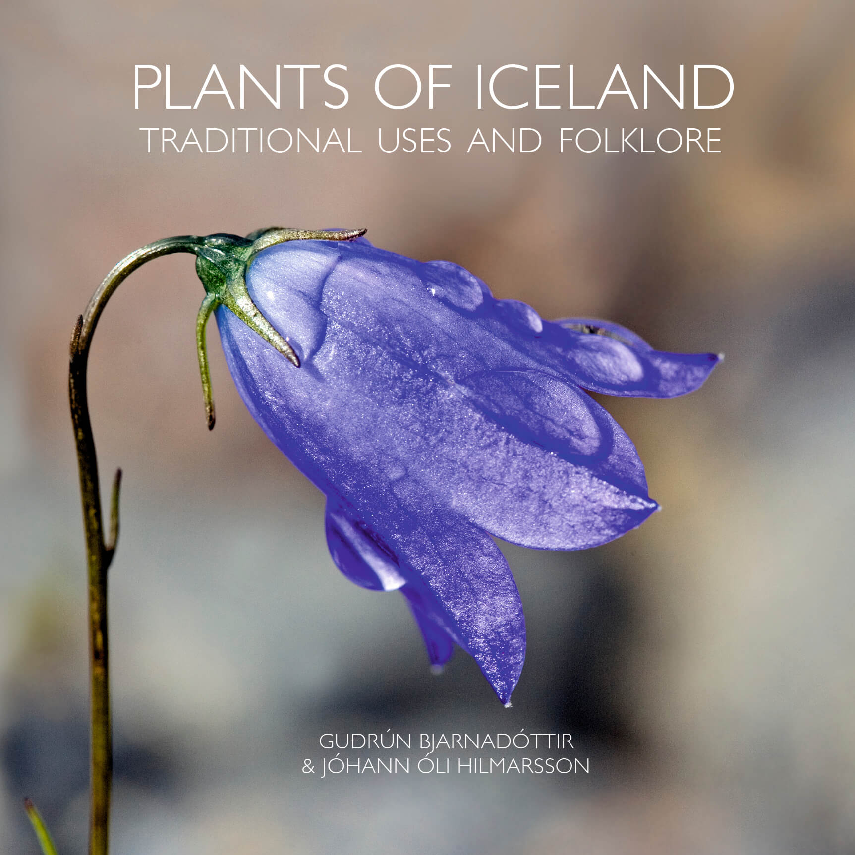 Gudrun Bjarnadottir Plants of Iceland: Traditional Uses and Folklore