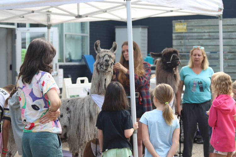 Farm to Fabric Summer Camp