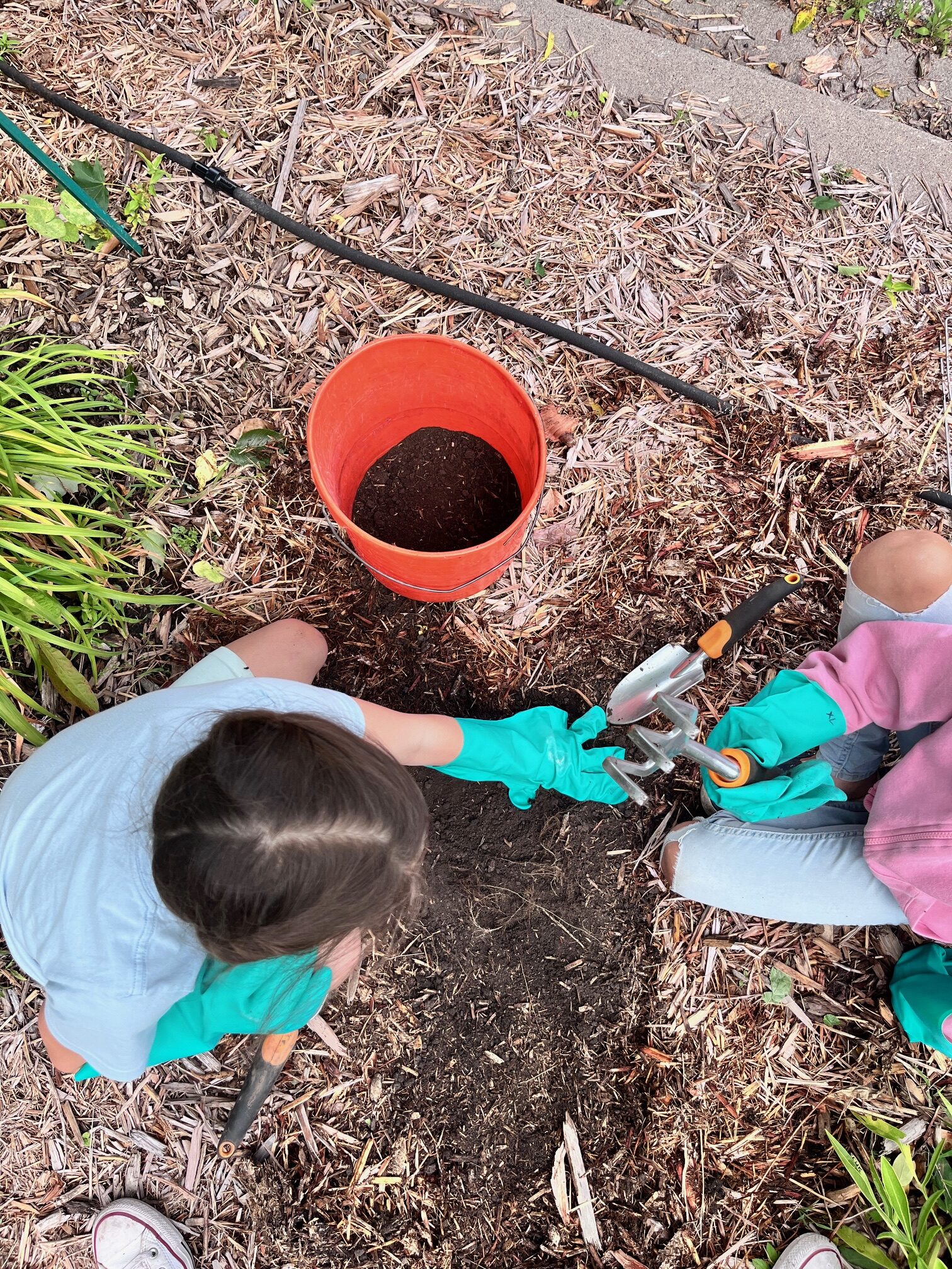 Dye Garden Explorers Summer Camp - Image 2