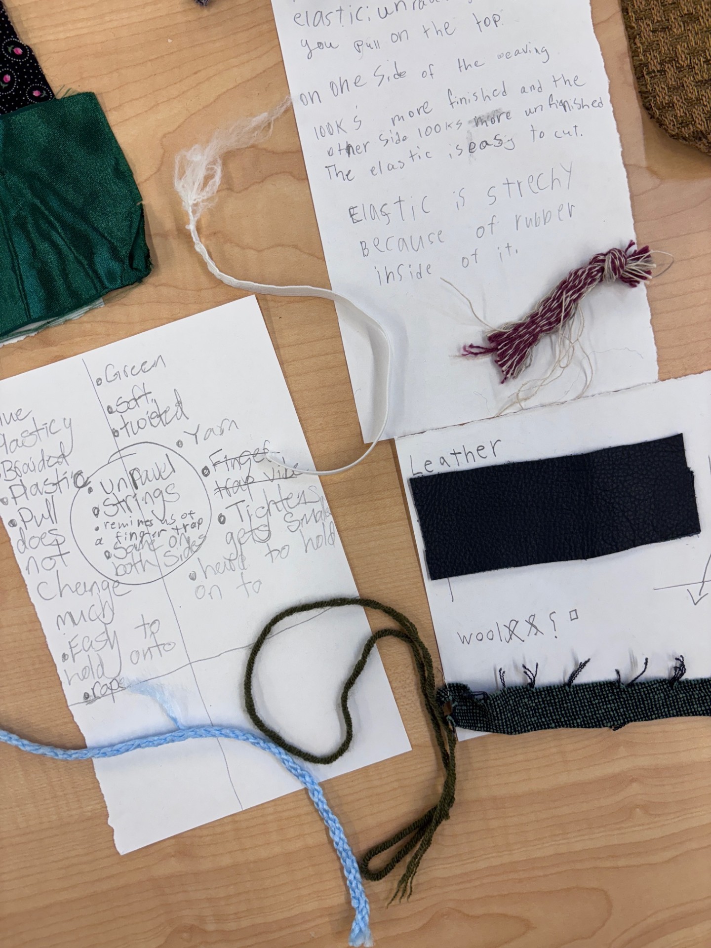 Farm to Fabric Summer Camp - Image 3