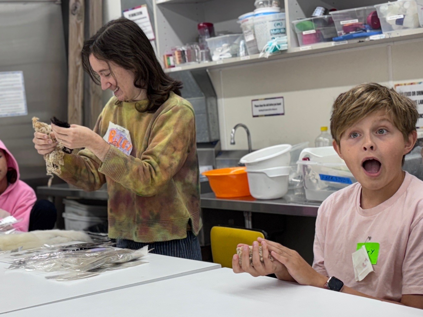 Farm to Fabric Summer Camp - Image 4