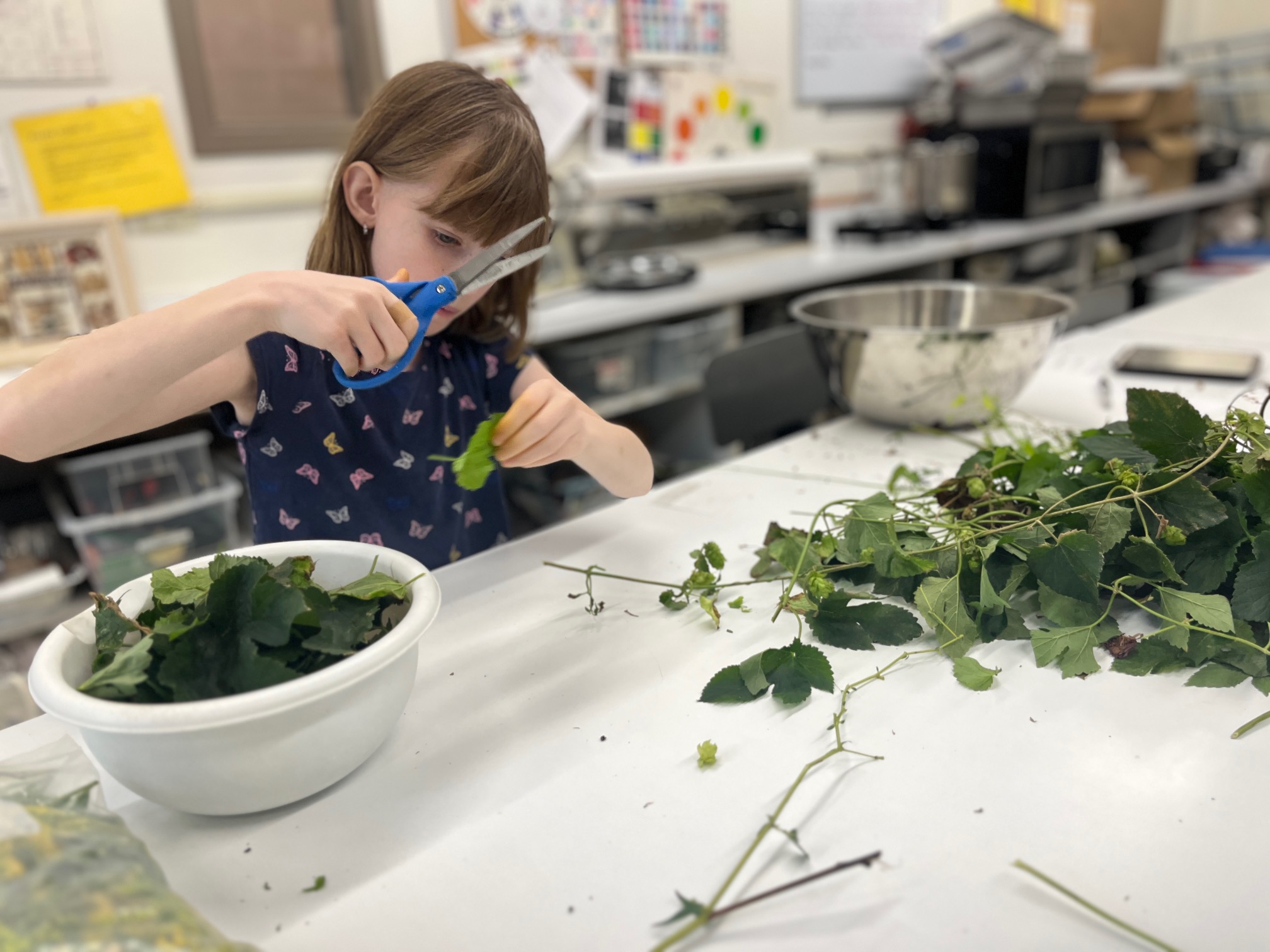 Dye Garden Explorers Summer Camp