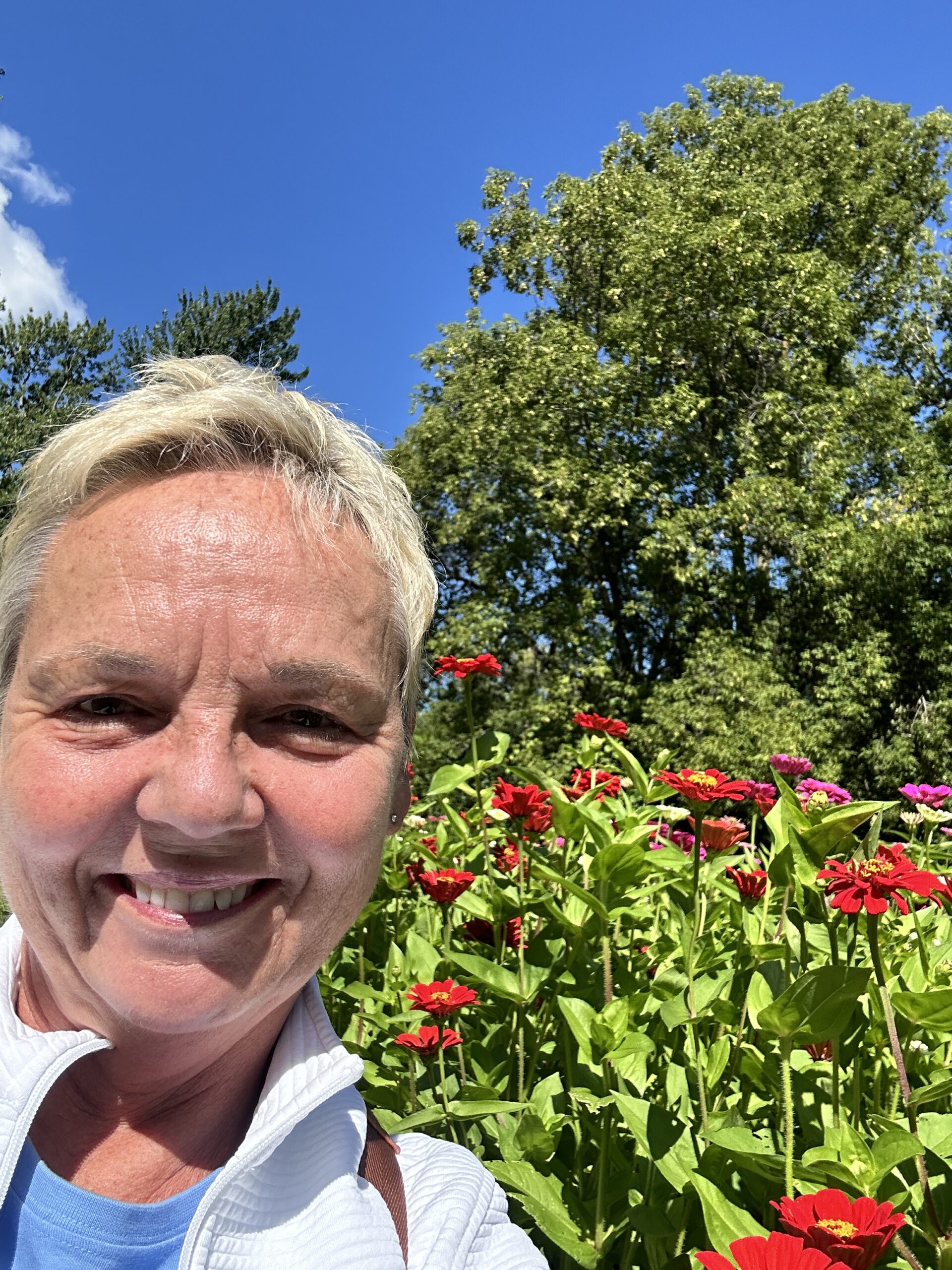 Beeswax Food Wraps - Image 3