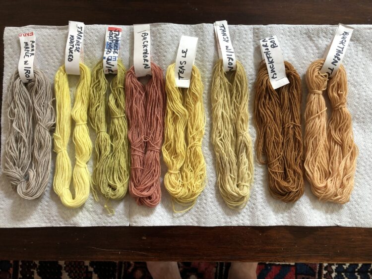 Dyeing with Invasive Plants