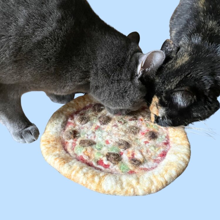 Felted Snuffle Mat: Pizza Party – Textile Center