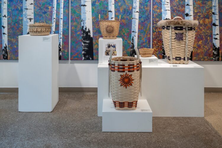 Mni_Sota_DSC7219