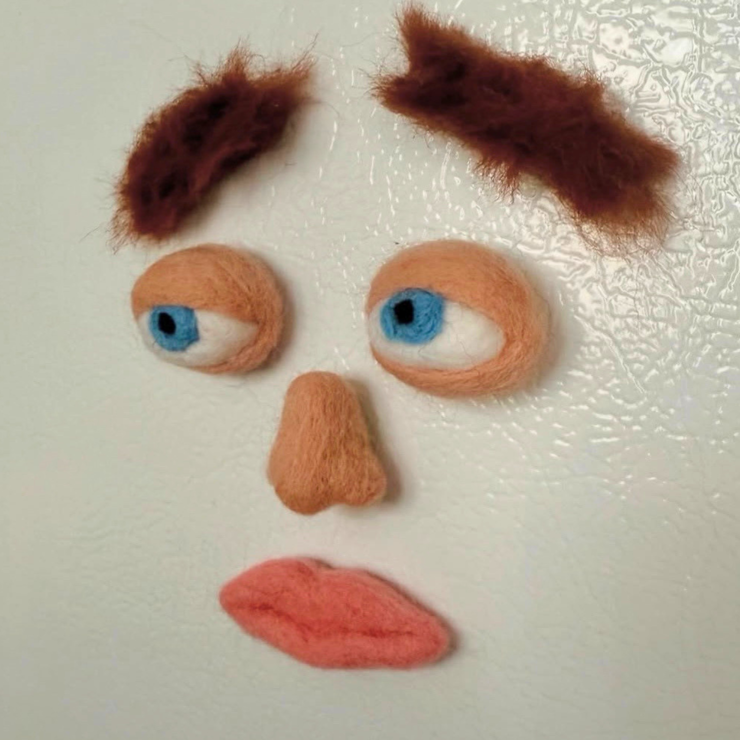Sarah Healy Felted Face Magnets