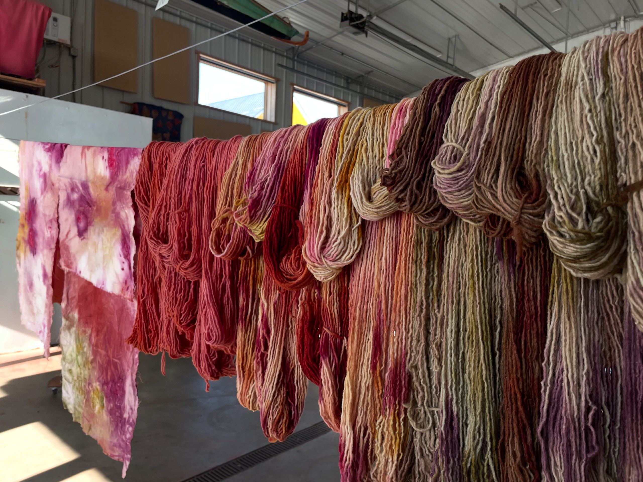 Thinking Through Color: Natural Dyes on Wool • Lesely Darling - Image 5