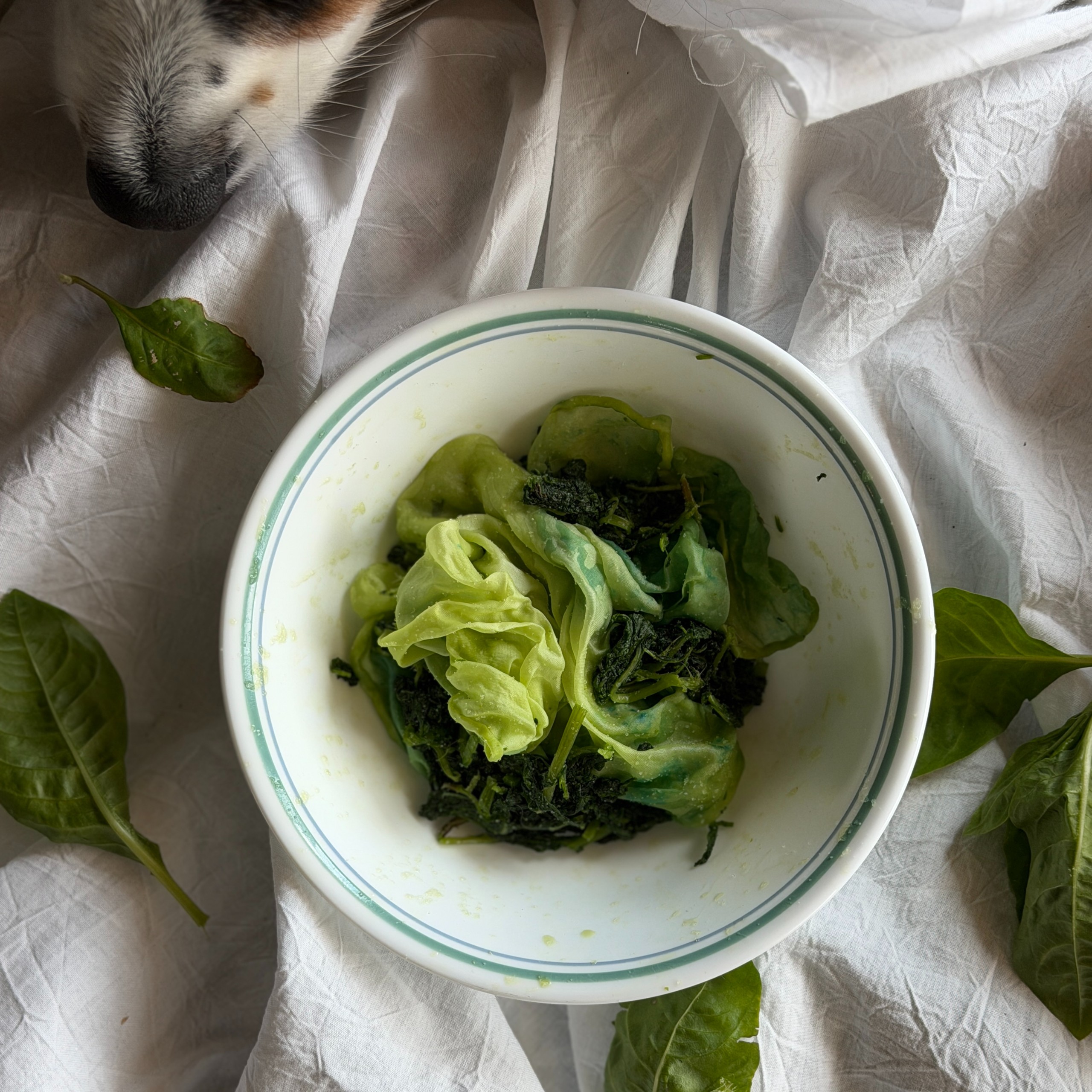 Fresh Leaf Indigo Three Ways - September 2026 - Image 2