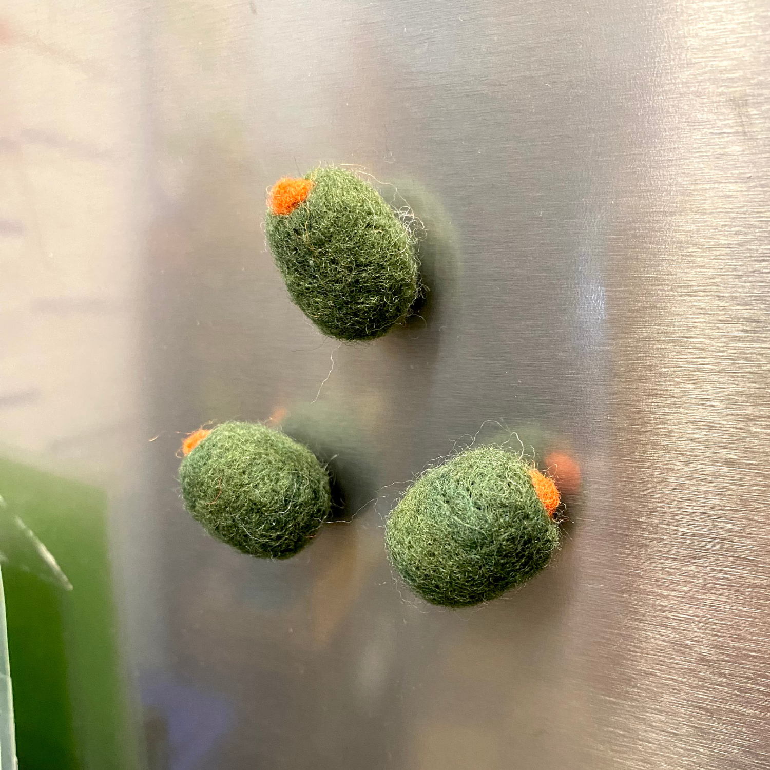Sarah Healy Olive Magnet Set