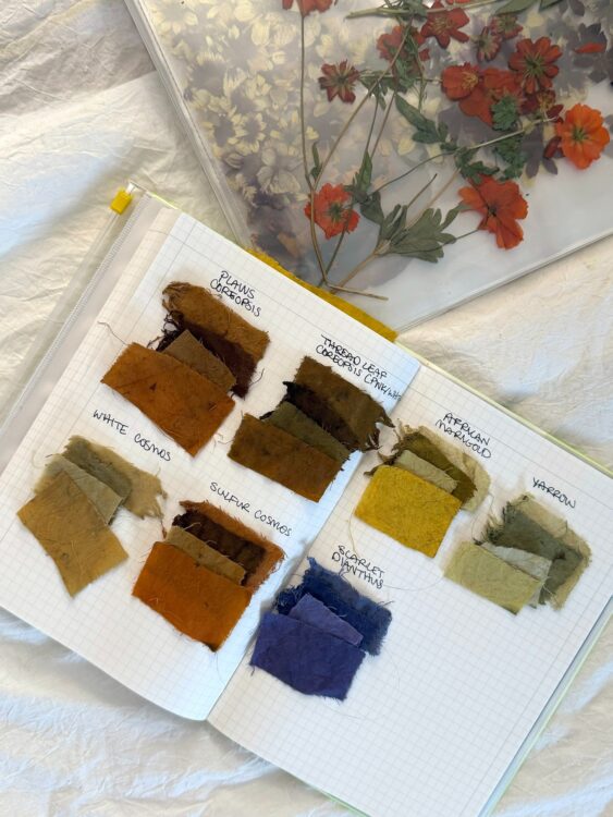 Intro to Natural Dyes - January 2027