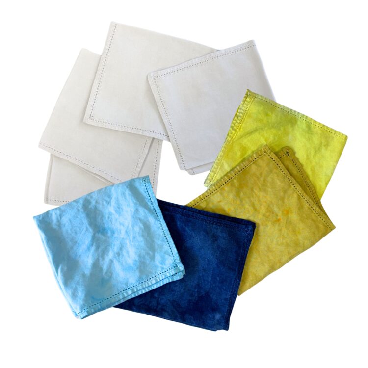 Intro to Natural Dyes - January 2027